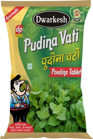 Dwarkesh Pudina Vati, 100 g-1.webp